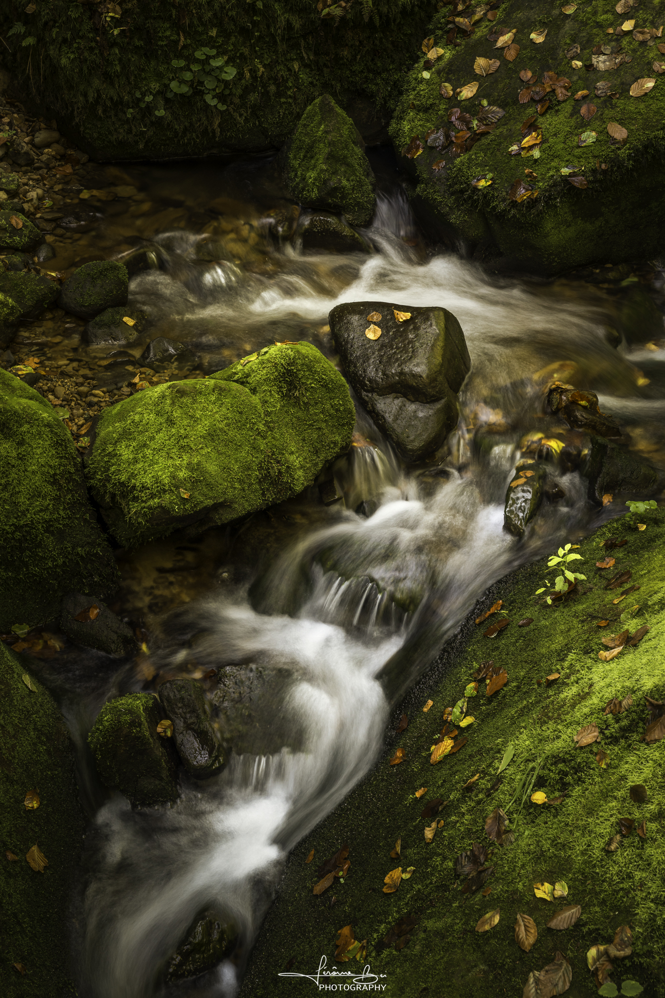 Luxembourg Waterfalls image