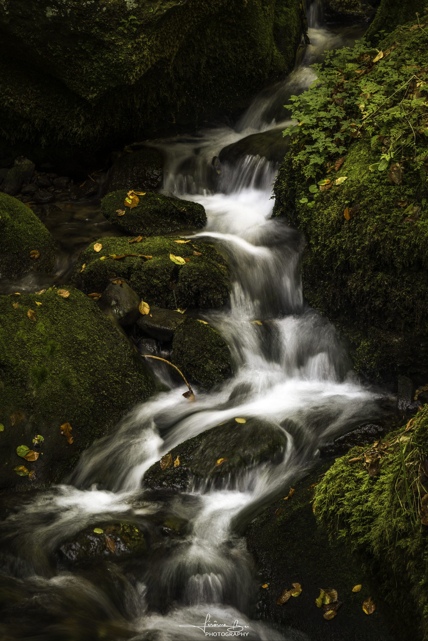 Luxembourg Waterfalls image
